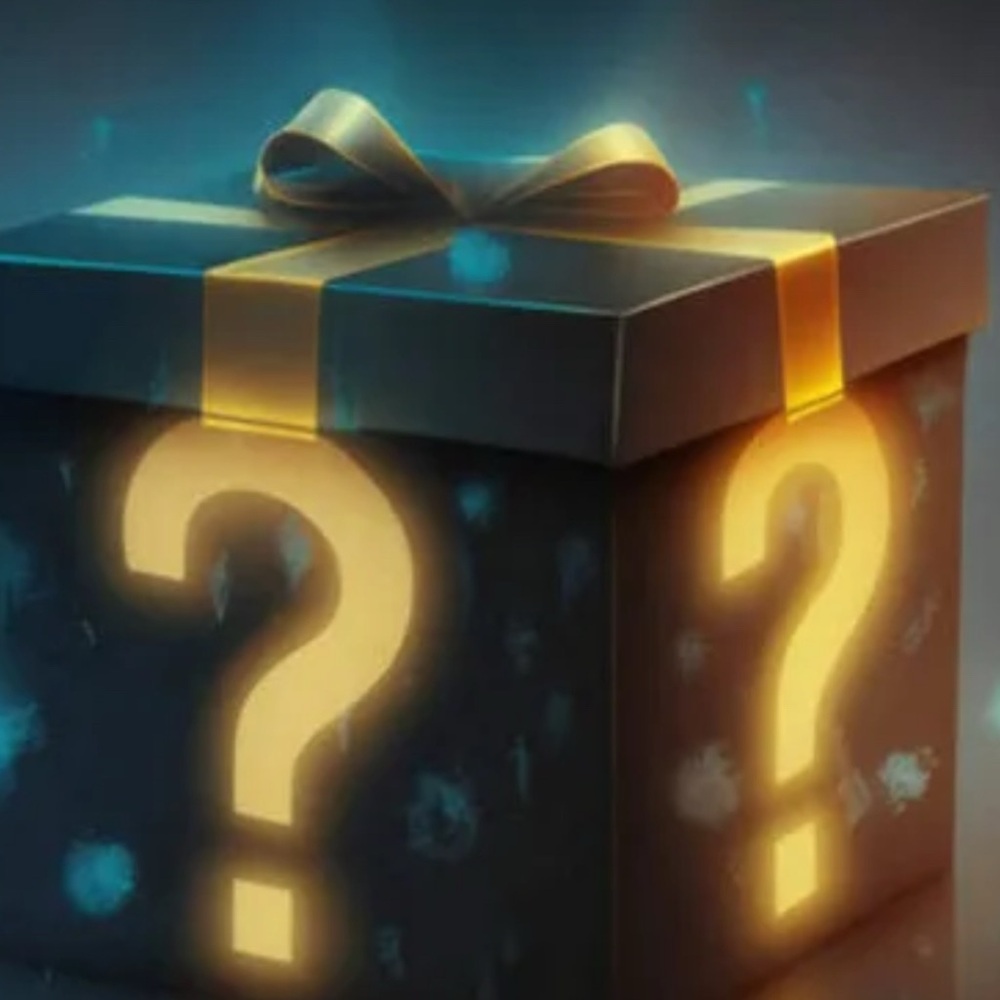 Ladies size XL Mystery Gift Box